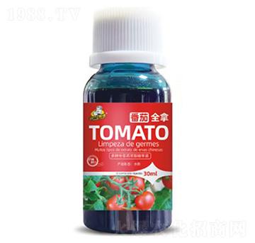 ����ȫ��-��˹��