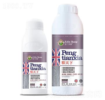 ������-��(��i)������