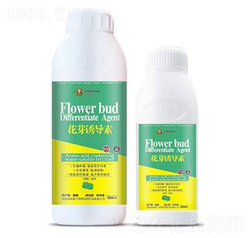 ��ѿ�T��(d��o)��-��(��i)������