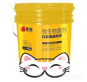 微生物菌劑-開(kāi)普海藻原漿-肥貓
