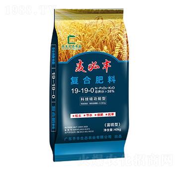 科技硅功能型復(fù)合肥料19-19-0-麥必豐-齊豐農(nóng)業(yè)