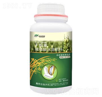 千粒重-腐植酸水溶肥料-云臺(tái)大化