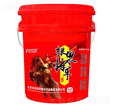 根果將軍-和潤農(nóng)業(yè)