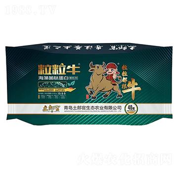 粒粒牛海藻菌肽蛋白-土郎官