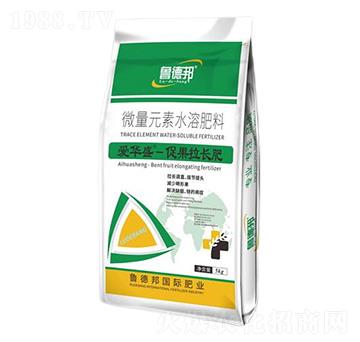促果拉長型微量元素水溶肥料-愛華盛-魯?shù)掳? width=