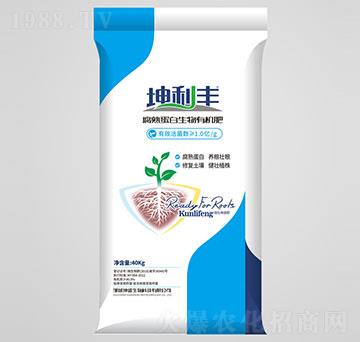 1�|���쵰�������ЙC(j��)��-�����S-��������