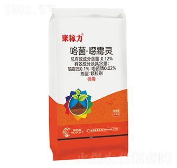 ���������ڲ���-������-����ɭ