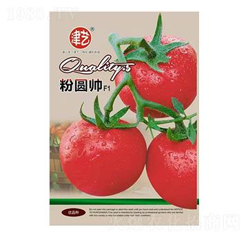 番茄種子-粉圓帥-邯豐農(nóng)業(yè)
