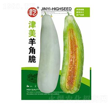 羊角蜜種子-津美羊角脆-邯豐農(nóng)業(yè)