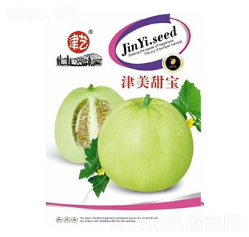 香瓜種子-津美甜寶-邯豐農(nóng)業(yè)