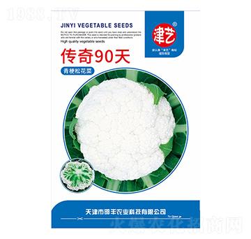 花菜種子-傳奇90天-邯豐農(nóng)業(yè)