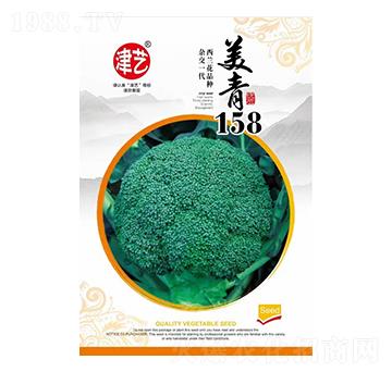 花菜種子-美青158-邯豐農(nóng)業(yè)
