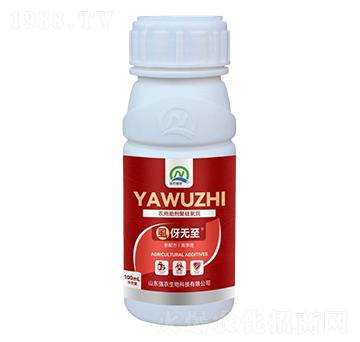 �r�������۹�����-ʭ��o��-���r