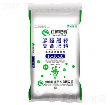 ��ȩ��ጏͺϷ���16-