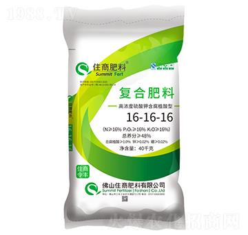 ����ֲ���͏ͺϷ���16