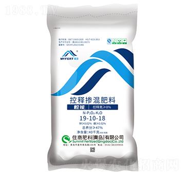 ���S��ጓ����19-1