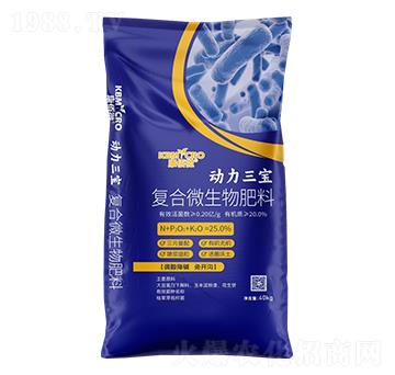 �ͺ�΢�������-��������-����΢