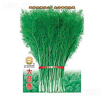 大茴香-太樂種業(yè)