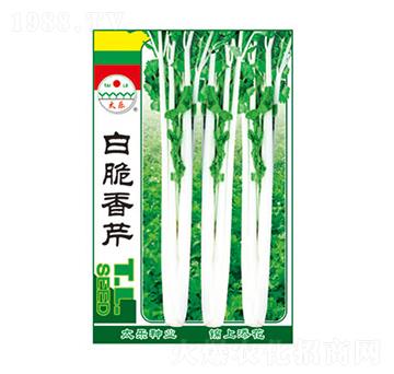 白脆香芹-太樂種業(yè)