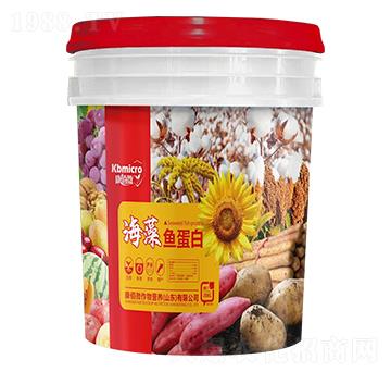 �����~����-����΢