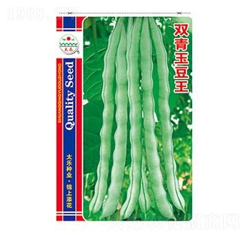 豇豆種子-雙青玉豆王-太樂種業(yè)
