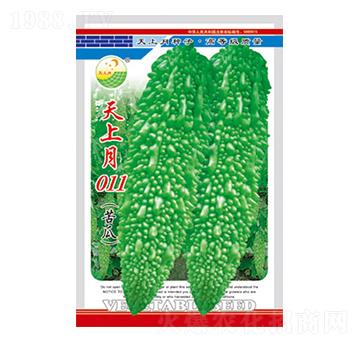 苦瓜種子-天上月011-太樂種業(yè)