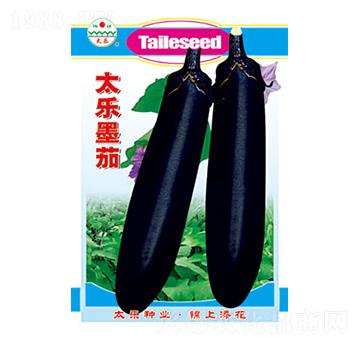 茄子種子-太樂墨茄-太樂種業(yè)