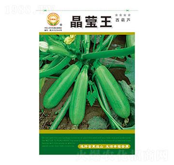 西葫蘆種子-晶瑩王-太樂種業(yè)