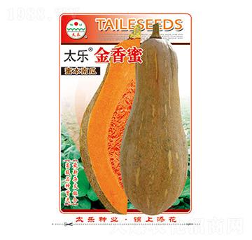 南瓜種子-太樂金香蜜-太樂種業(yè)