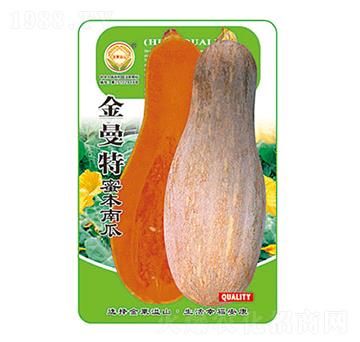南瓜種子-金曼特-太樂種業(yè)