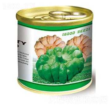 姜柄瓜種子-姜柄瓜罐頭-太樂種業(yè)