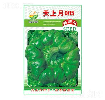 姜柄瓜種子-天上月005-太樂種業(yè)