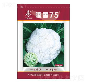 隆雪75-天隆在田-天隆農(nóng)業(yè)