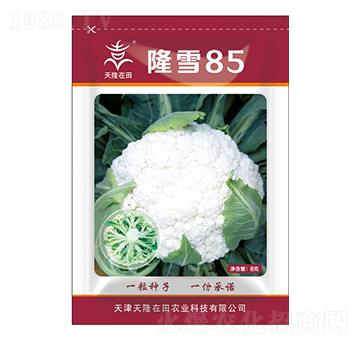 隆雪85-天隆在田-天隆農(nóng)業(yè)