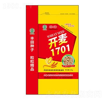 開麥1701小麥種子-棒神-豐田農(nóng)業(yè)