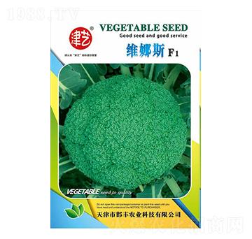 西蘭花種子-維納斯-邯豐農(nóng)業(yè)