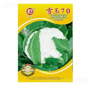 花菜種子-雪玉70-邯豐農(nóng)業(yè)