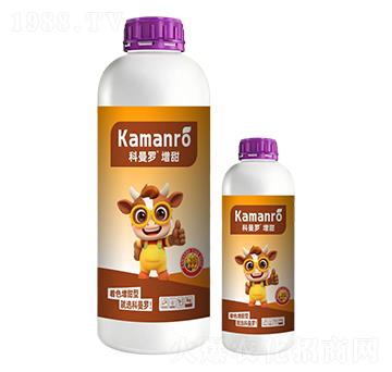 ����-�����_