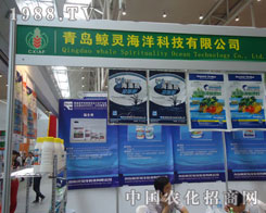 ���u�L�`����Ƽ������\(ch��ng)�Q��Ч��