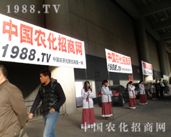 ���^�˶�ξ���չ��(hu��)�ƏV�ĵ�·���r(n��ng)���W(w��ng)�ի@�S�M