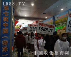 �҂�һ·��ǰ�����w�ഺ�ı۰�