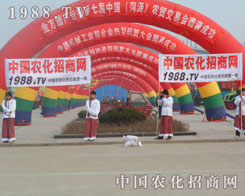 �r(n��ng)���W(w��ng)��Ŭ��ƴ���ľ����ڕ�(hu��)��(ch��ng)�����w�F(xi��n)