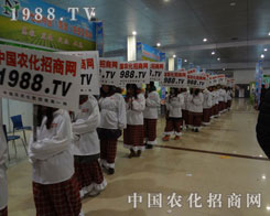 �r(n��ng)���W(w��ng)͸������������