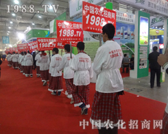 1988.TV�ԏ���Č�����2013