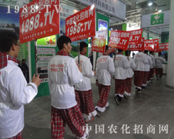 ���19�Ý�(j��)��ֲ����(hu��)���Ȳ�