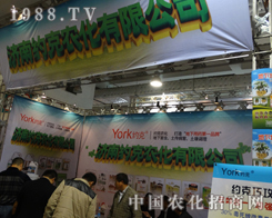 ��(j��)�ϼs�˳�ϯ��19��ɽ�|ֲ����(hu��)