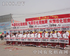 ���������չʾ���r(n��ng)�����̾W(w��ng)�����Ě��(sh��)