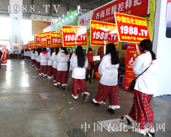 ��27�Ü���ֲ����1988�r(n��ng)���W(w��ng)��֮�o����������ģ