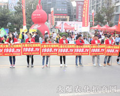 1988.TV��(zh��n)��������2016ɽ�|ֲ������չӢ���Sˬ��