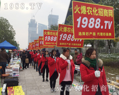 �r(n��ng)���t--2016�Ͼ�ֲ�������������}ɫ�ʣ�